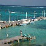 Profile Picture of Chris Jackson-Schimelfening (@jacksonschimelfening) on Instagram