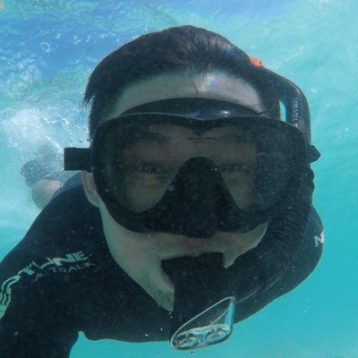 Profile Picture of Jason Ooi (@JasonSeaTurtle) on Twitter