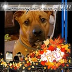 Profile Picture of Misty Dawn Sparkman (@misty.d.sparkman) on Facebook