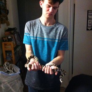 Profile Picture of Marwan Zureiqi (@marwanz1994) on Myspace