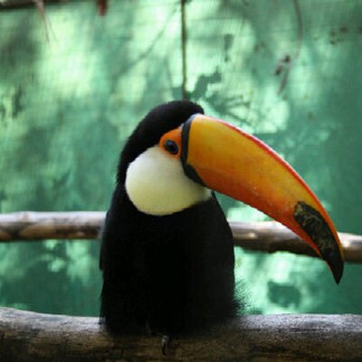 Profile Picture of Mirko Marchetti (@VincentX83) on Twitter