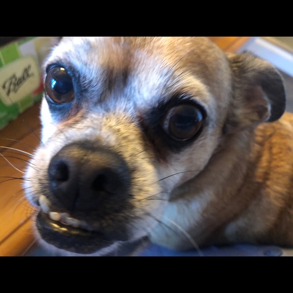 Profile Picture of Dennis Colclasure (@denniscolclasur) on Poshmark