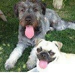 Profile Picture of Shawna Strange (@evajetbin371) on Instagram