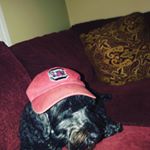 Profile Picture of Thomas Ferronetti (@thomasferronetti) on Instagram