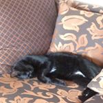 Profile Picture of Alex Dwyer (@dwyer5261) on Instagram