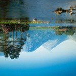 Profile Picture of Grasman (@endicotteric) on Instagram