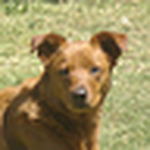 Profile Picture of Yana & Carl Devaughn (@cuddlebudd@sbcglobal.net) on Flickr