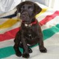 Profile Picture of Kim Bannister (@kim-bannister-13) on Quora
