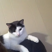 Profile Picture of Katie Jaros (@katiejaros9718) on Youtube