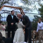 Profile Picture of Tim Manning (@manning_and_son) on Instagram