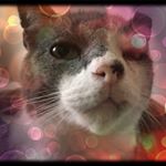 Profile Picture of Debra Manning (@debrayodermanning) on Instagram