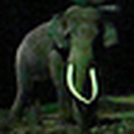 Profile Picture of Ramakrishnan Mp (@ram_mp36) on Flickr