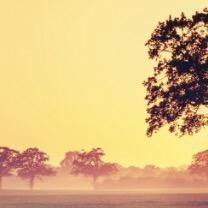 Profile Picture of ThomasRands (@RandsThomas) on Twitter