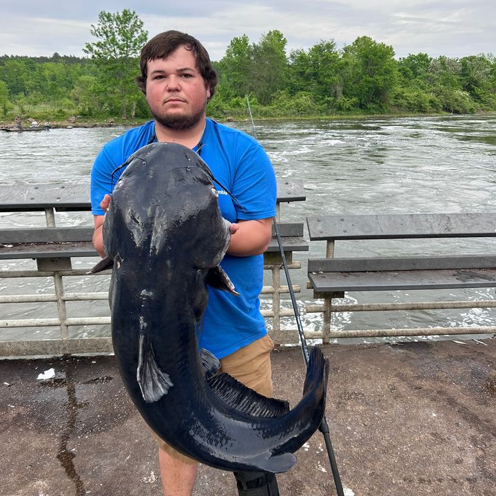 Profile Picture of Chasebrazell20 (@chasebrazell20) on Tiktok