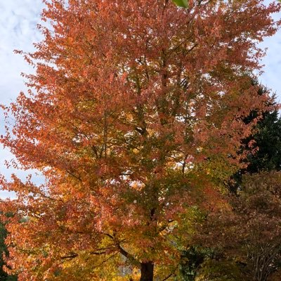 Profile Picture of Andes Mountains (@AndrewYMao) on Twitter