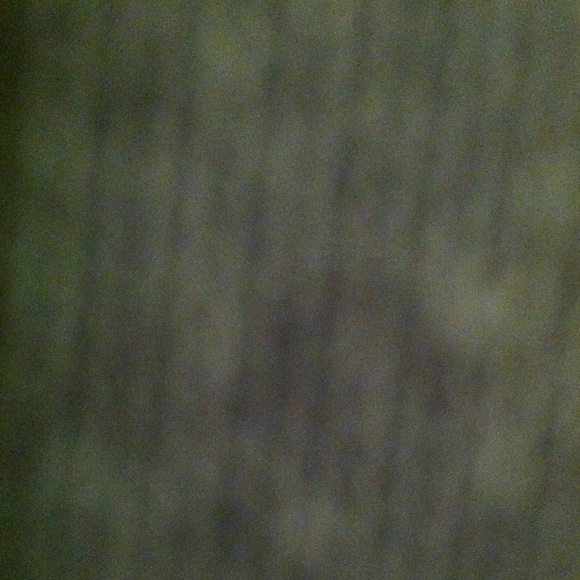 Profile Picture of Shelly Puchbauer (@shellybauer) on Poshmark