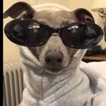 Profile Picture of Bràčà Jøseph (@jah______bless04) on Instagram