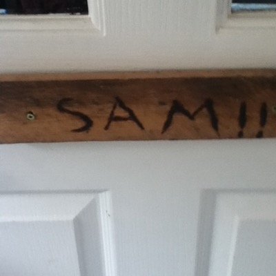 Profile Picture of Sam Larkins (@h4msf) on Twitter