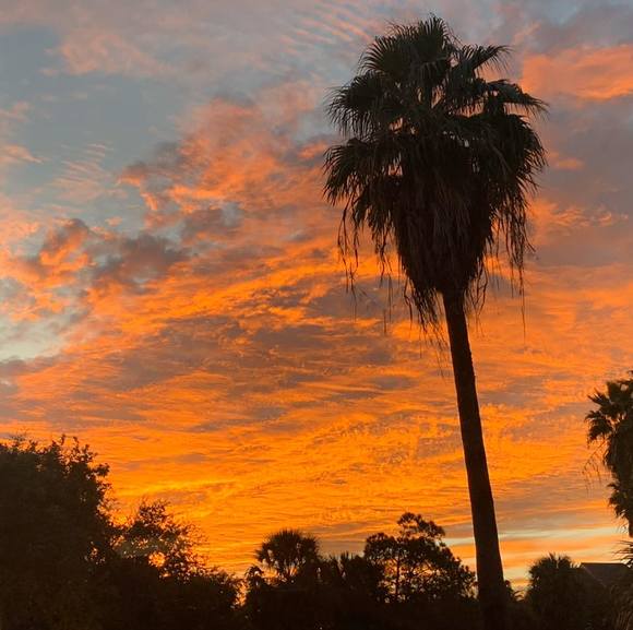 Profile Picture of Ghada Al-sannaa (@gasannaa) on Poshmark