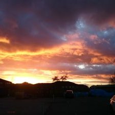 Profile Picture of Keith Shelly (@915ed717d81b4e1) on Twitter