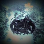 Profile Picture of Ginny Snook Scott (@ginnyscott4) on Instagram