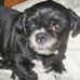Profile Picture of Wanda Hansen (@wanda.hansen.140) on Facebook