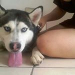 Profile Picture of Cecilia Manriquez (@cecilia.manriquez.545) on Instagram