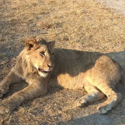 Profile Picture of Ben Hiles (@trixtremben) on Twitter