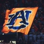 Profile Picture of Michael Bridges (@michaels_tigers) on Instagram