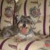 Profile Picture of David Verhelst (@david.verhelst.5) on Facebook
