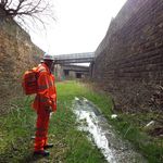 Profile Picture of David Bain (@daveybuntu) on Instagram
