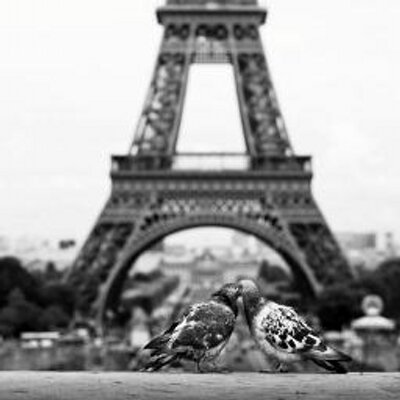 Profile Picture of Kevin Vitale (@kevinvitale5) on Twitter