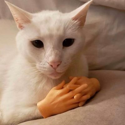 Profile Picture of Jim (@jimtalbot) on Twitter