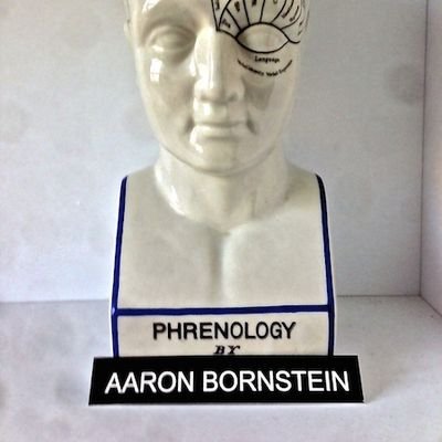 Profile Picture of Aaron Bornstein (@urrational) on Twitter