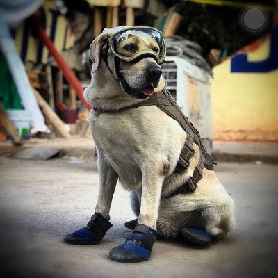 Profile Picture of Benjamin Miranda (@bmastiz) on Twitter