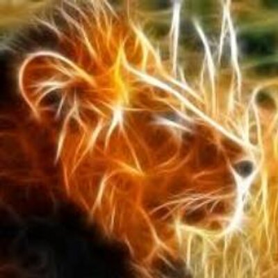 Profile Picture of SimbaTrading (@simbatrading) on Twitter