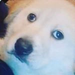 Profile Picture of 🌙 Isaac Vásquez 🌙 (@isaac.vasquez.b) on Instagram