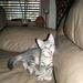 Profile Picture of Carly Mazurek (@carlymazurek) on Pinterest