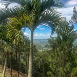 Stacie Humphrey - Instagram Profile Picture of Stacie Humphrey (@shumphrey4) on Instagram