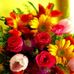 Profile Picture of Martha Triplett (@martha.triplett.5) on Facebook