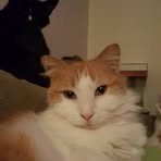 Profile Picture of Lisa Engroff (@lisa.engroff.9) on Facebook