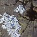 Profile Picture of Forrestal Brewer (@forrestalbrewer) on Pinterest