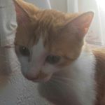 Profile Picture of thomas derue (@deruethomas) on Instagram