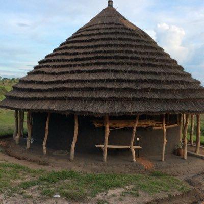 Profile Picture of shanewilber (@shanewilber) on Tiktok