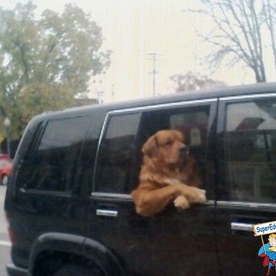 Profile Picture of Angelo Bellucci (@angelobellucci2) on Twitter