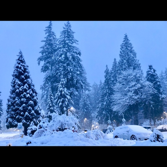 Profile Picture of Muhammad Khan (@sheirwani) on Poshmark