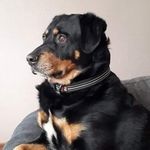 Profile Picture of Isabelle Van de Moortele (@isabelle_dumont) on Instagram