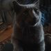 Profile Picture of Shirley Pugh (@shirley.pugh.790) on Facebook