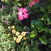 Profile Picture of Marilyn Kearney (@Marilyn-Kearney) on Facebook