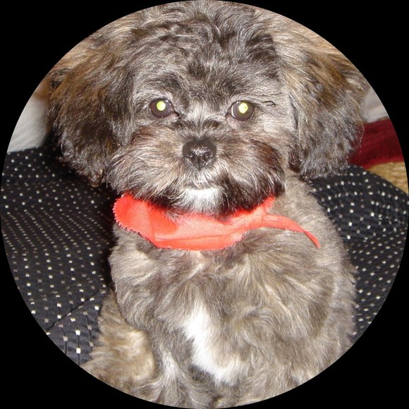 Profile Picture of Kim Andersen (@curatedcarats) on Poshmark